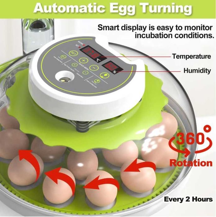 Incubator DETODDA complet automat