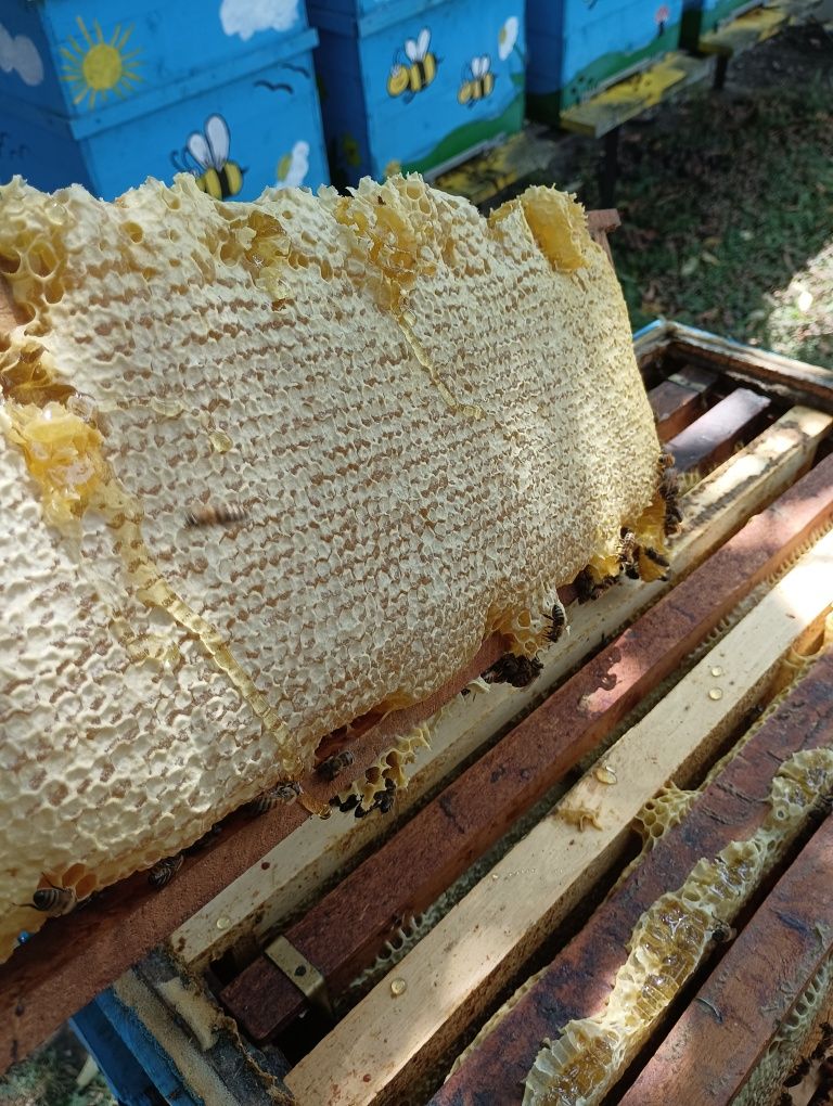Натурален мед без примеси