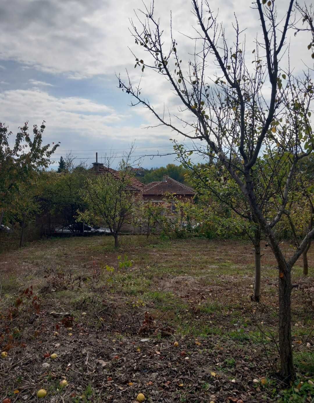 Продава парцел в с. Шипочано.