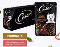 Влажный корм Cesar для взрослых собак, с ягненком и овощами в соусе,