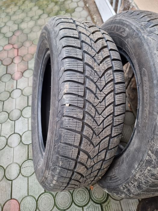 Cauciucuri iarna 225 65 17