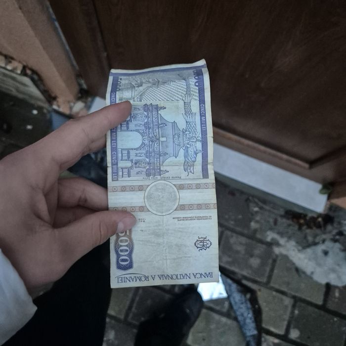 Bacnote vechi 1000 si 5000