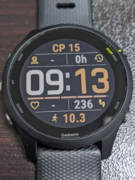 Garmin Forerunner 255 music