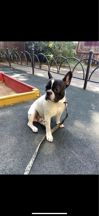 Здраствуйте ,мы в поисках девочки для нашего мальчишки нам 1,5года  ,