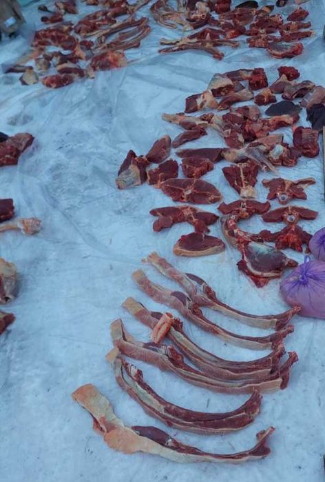 Продам тай сирақ по 100000. Екі сирақ по 90000.