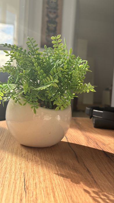 Planta Artificiala Mica – Ghiveci Alb Ceramic, Stil Modern “Pepco”