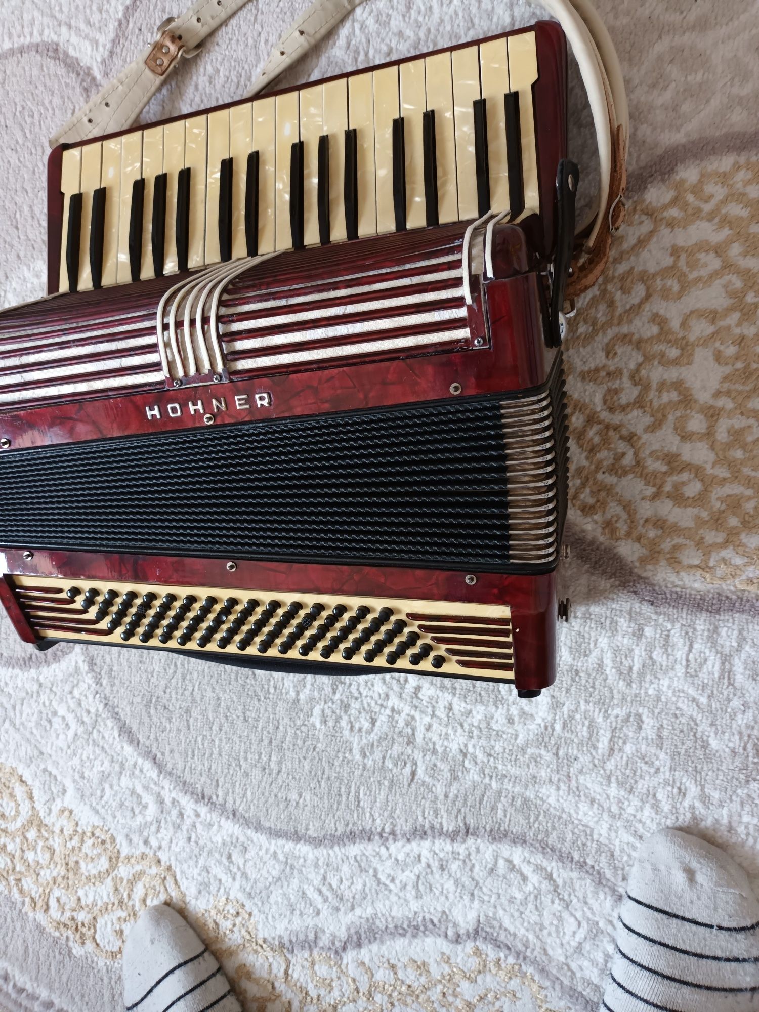 Acordeon hohner vergele