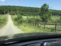 Teren EXTRAVILAN FORESTIER Sat de Vacanta Podari