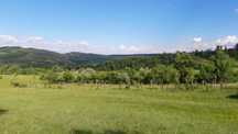 Vând livadă 3600 mp – Sebeșel, jud. Alba