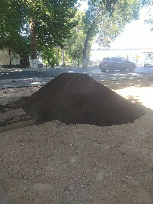 гумус gumus газон