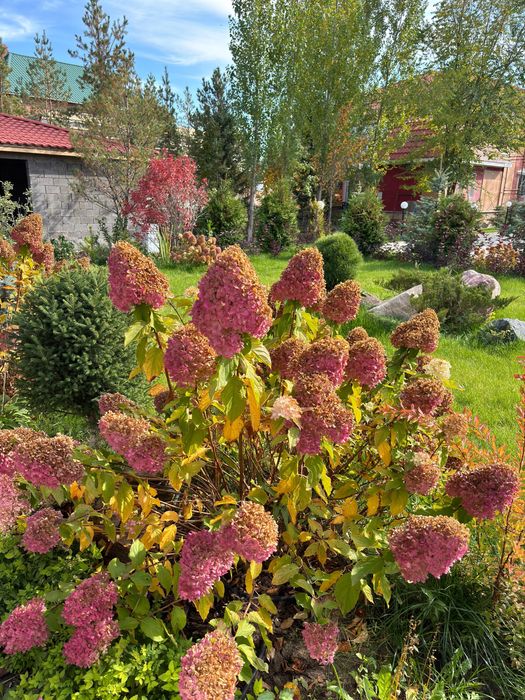 Озеленение, ландшафтный дизайн