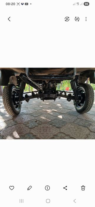 Муравей в хорошем состоянии