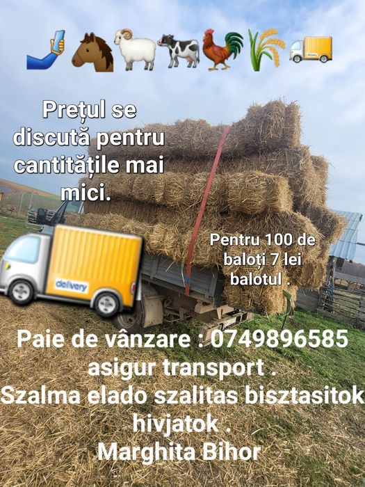 Paie de vânzare !