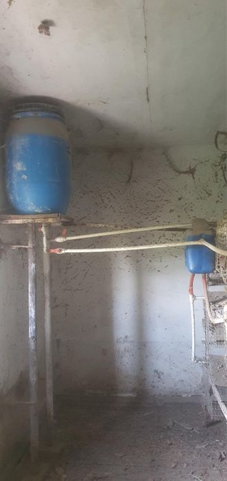 Katak tovuqlar uchun