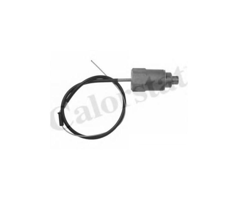 Motoras pas cu pas Peugeot 806 221 1994-2002 083104