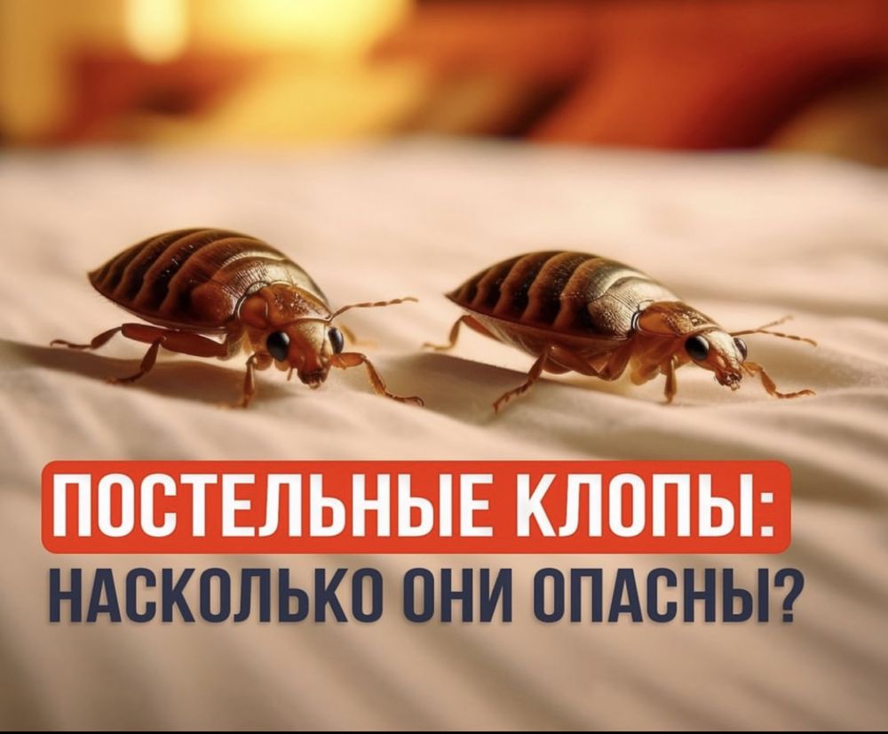 Dezinfeksiya Xizmati 100% Дезинфекция.