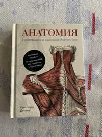 Книга Анатомия с иллюстрациями из «Анатомии Грея»