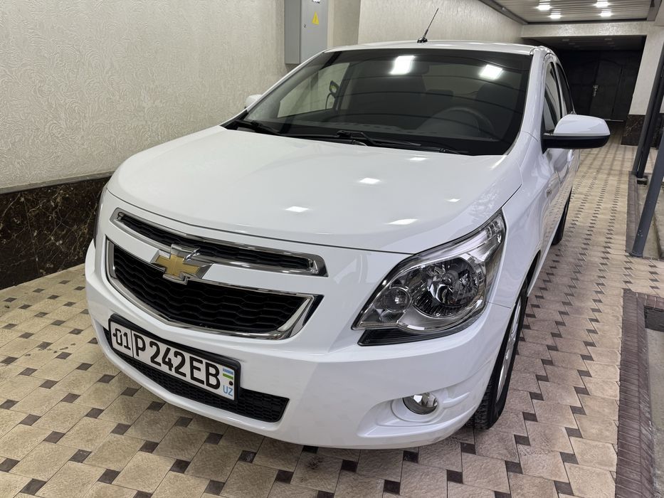 Кобилт .2022 йил .