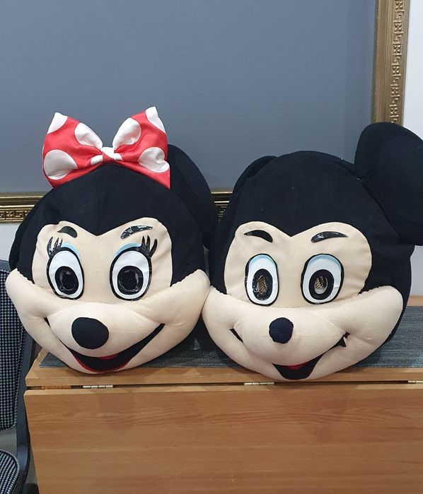 Costume de animație