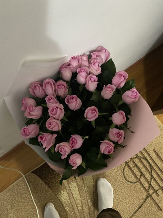 Роза 31 штук свежие