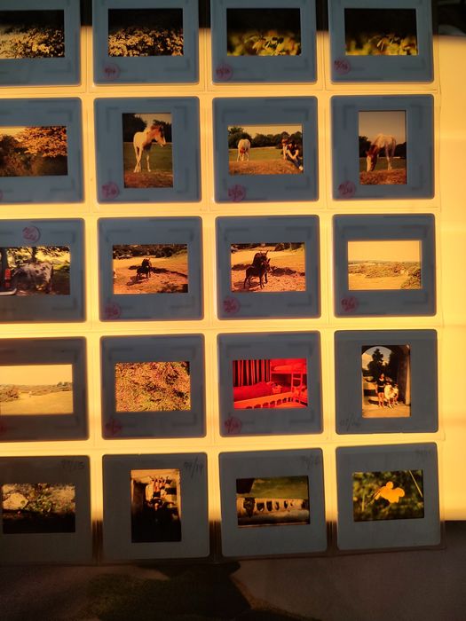 Lot 15 cutii dispozitive+ clasor diapozitive