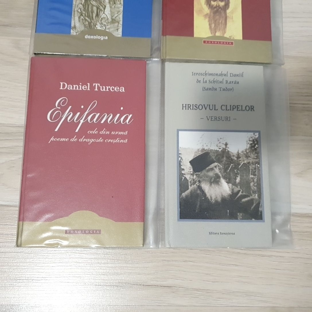 Daniel Turcea Epifanie, Duhovnicul etc.