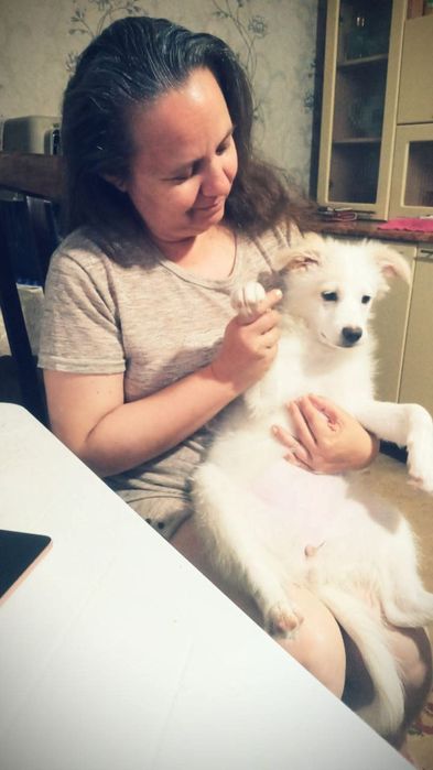 Подарю собачку в добрые руки