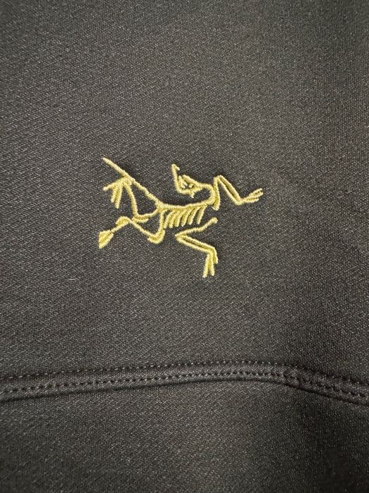 Arcteryx Arenite Hoody.