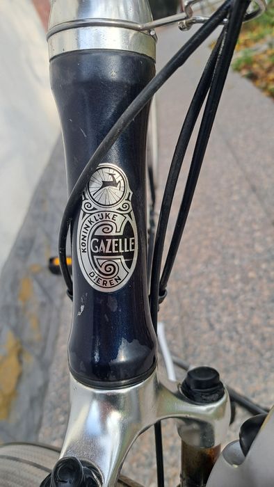 Bicicletă pentru fete!