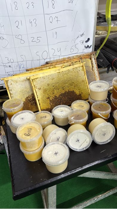 Мёд. Бал в Уральске. Мёд в сотах 1кг 2500тг