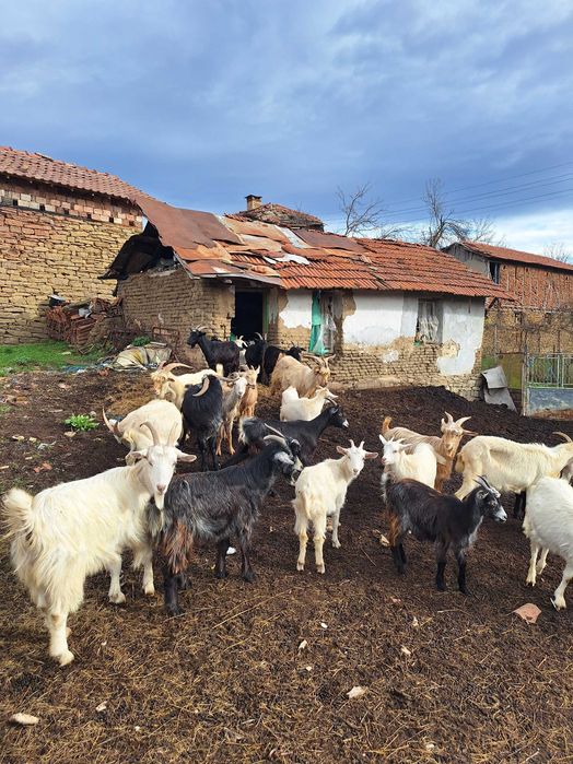 Миналогодишни мъжки пърчове