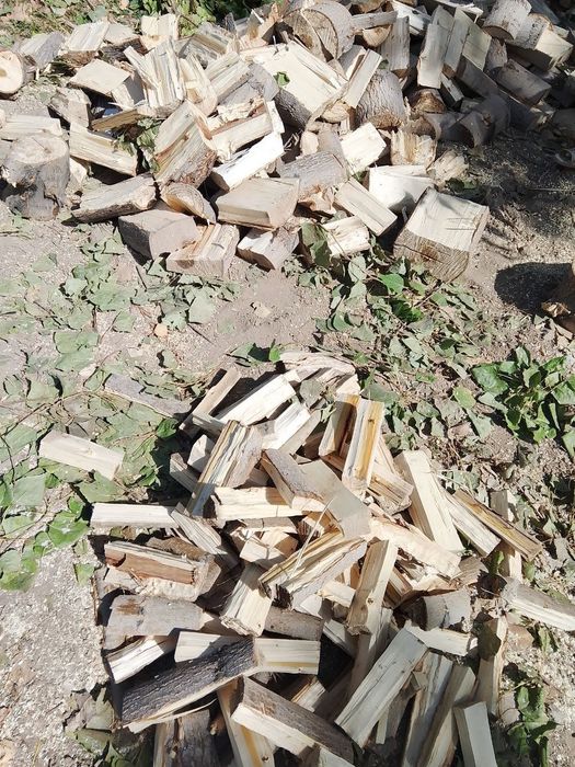 1 labo otin sotiladi quruq va xol otinlar bor