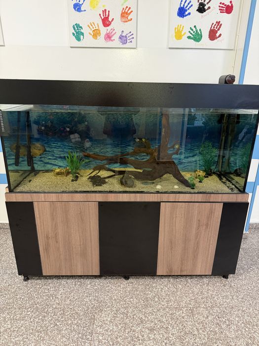 Аквариум за риби 650л