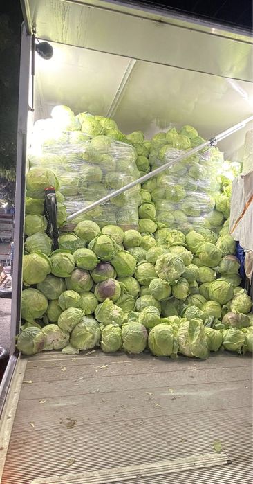 Българско зеле кьосе