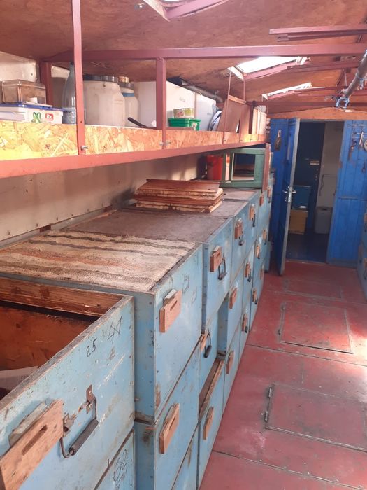 PAVILION APICOL, fără albine