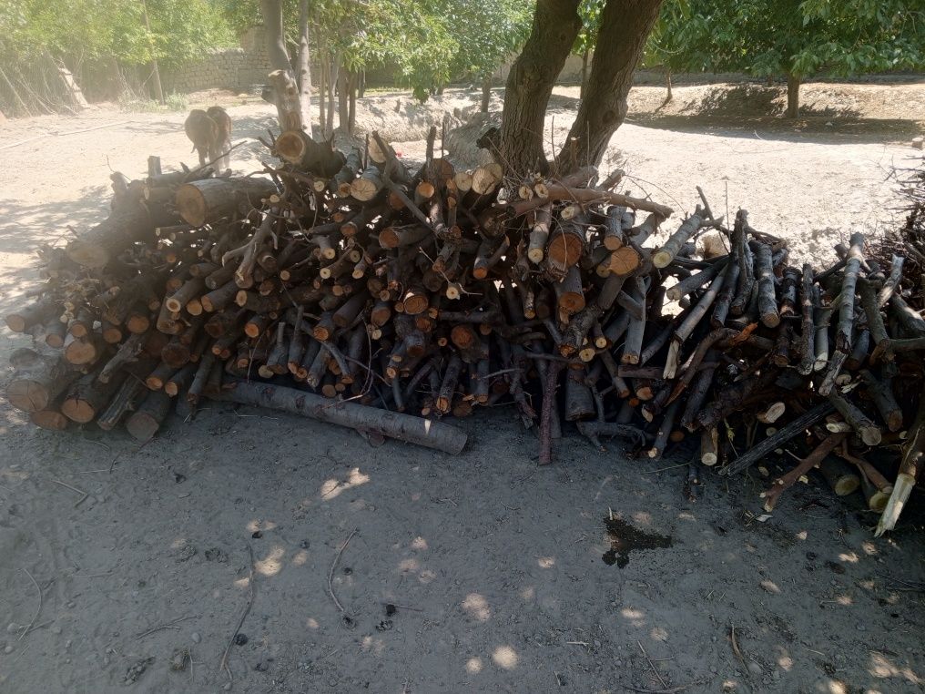 Mevali utin sotiladi shoh Gula aralash 1 zil chiqadi narhi 2 mly