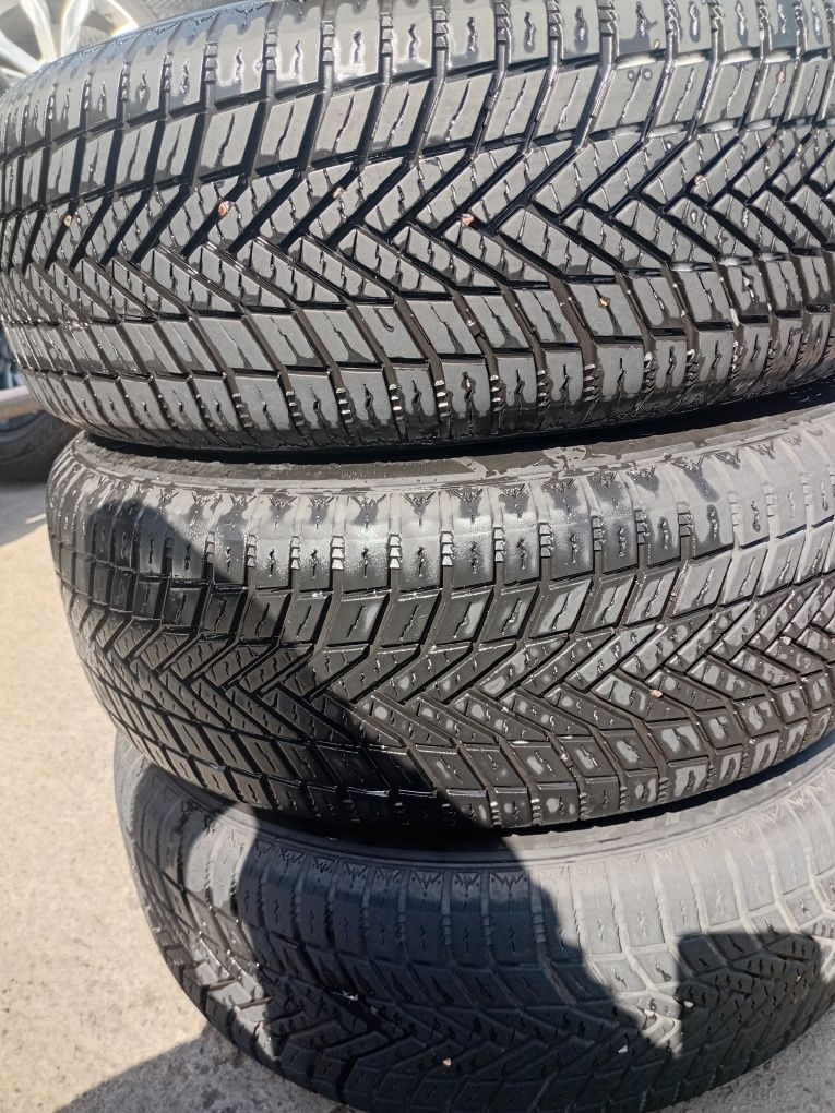 15 kobilt yengicha saka