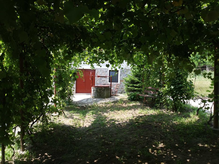 2 Case, Foisor, Garaj, 2 Anexe şi teren 4370 mp, Tismana, sat Costeni