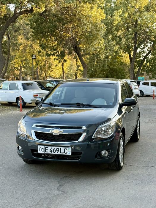 Arenda Cobalt 2020