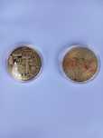 Vând monede BITCOIN și ceasuri de buzunar vintage