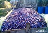 Vînd prune pentru țuică și palinca transport gratuit in toată țara!!!
