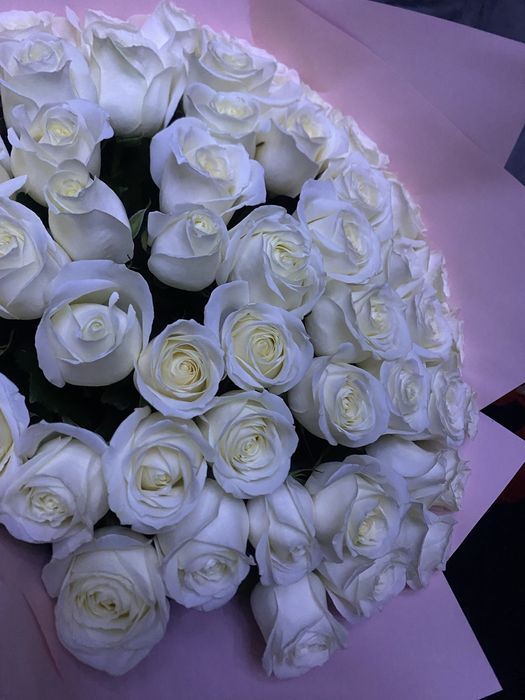 Розы, 51 штук, белый