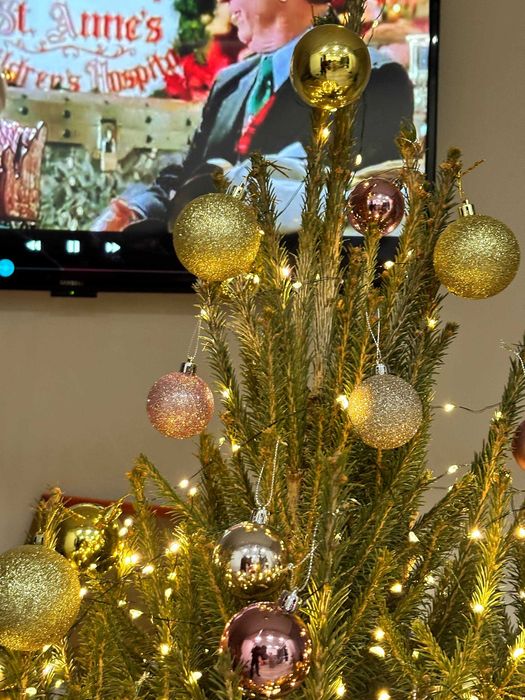 Елка Новогодняя / Живые Елки / Ель Живая в алмате с доставкой