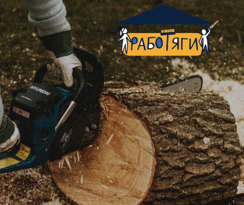 Пълно разчистване на дворове - косене, рязане, услуги с багер
