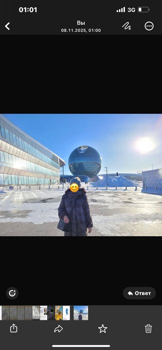 Норковая шуба коричневого цвета.