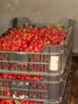 Vand cirese dulci 20lei kg ,