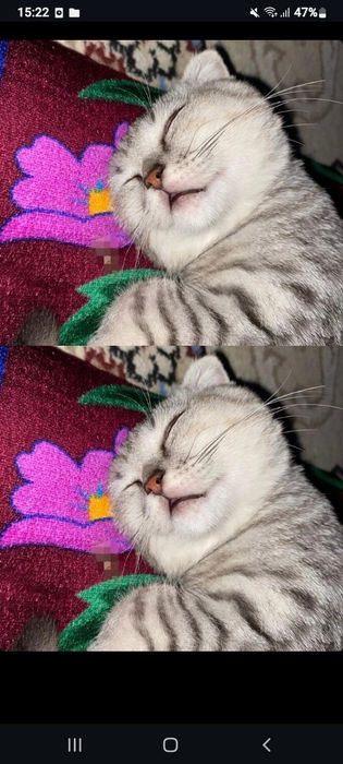 Тез сату керек болватр