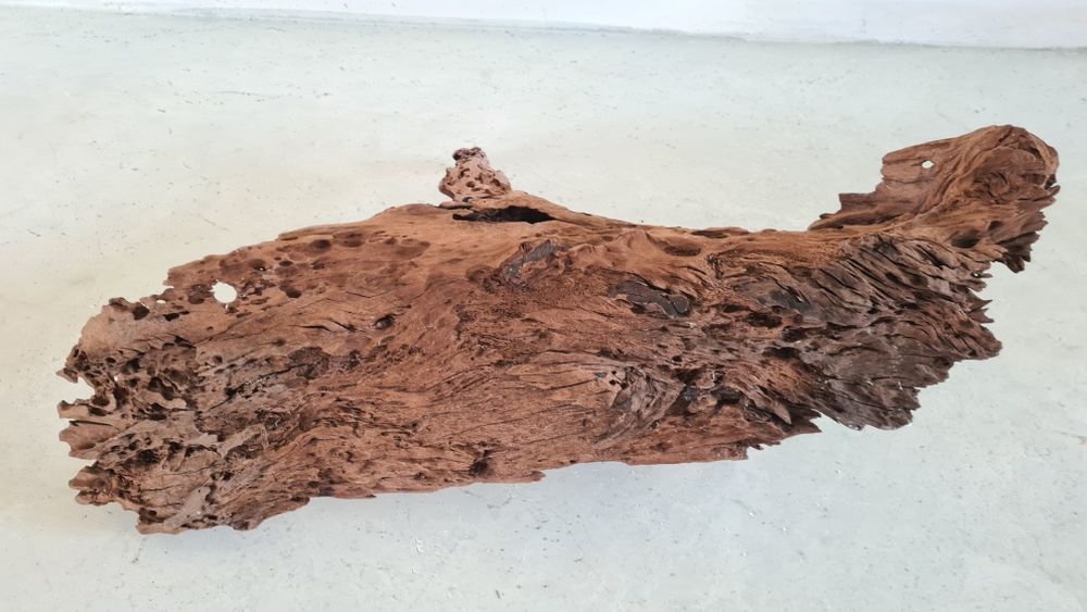 Buturuga / lemn mangrove pentru acvarii