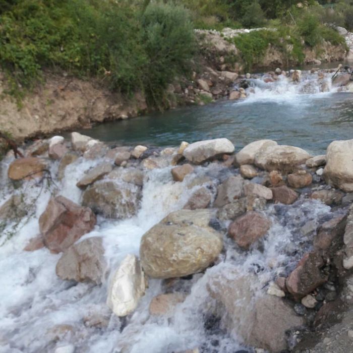 Катта дача сотилади, таёр бизнес.