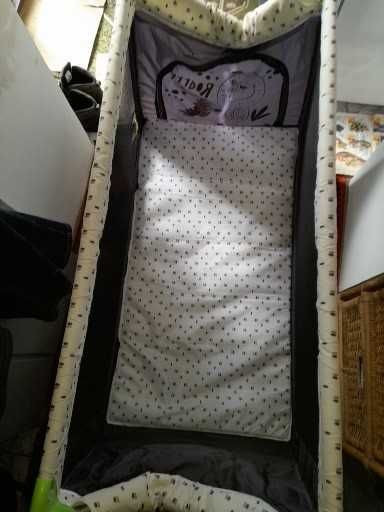 vand patut copil mic